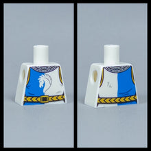 Load image into Gallery viewer, JONAK Toys UV Printed Torsos- Faction Knights (V3)
